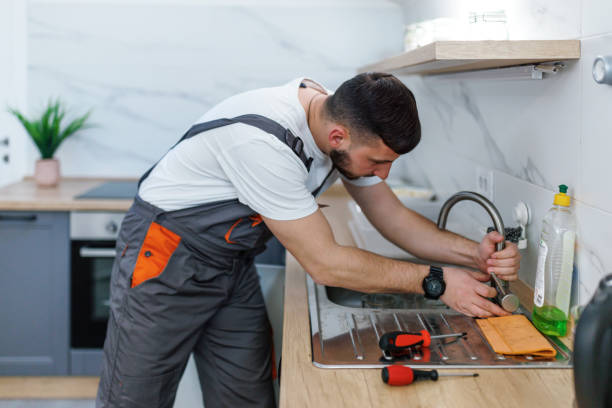 Best Local Plumber Services  in Frontenac, MO
